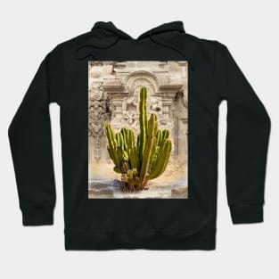 Organ Pipe Cactus in Front of Colonial Church Hoodie